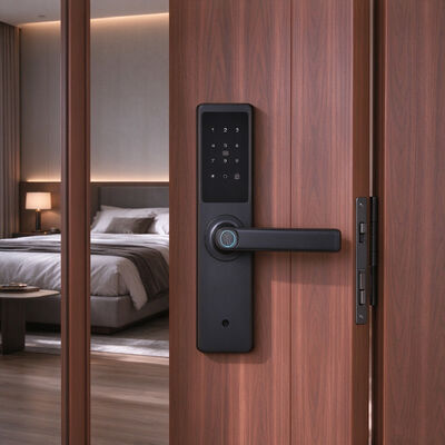 High Quality Multi-functional Aluminum Alloy Material Smart Digital Lock with 2 Years Warranty for Small Wooden Door