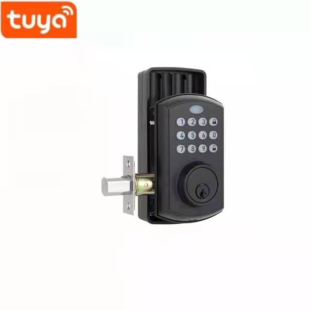 TUYA App Glass Door Smart Lock Aluminum Alloy Household Wooden Door Digital Lock 0