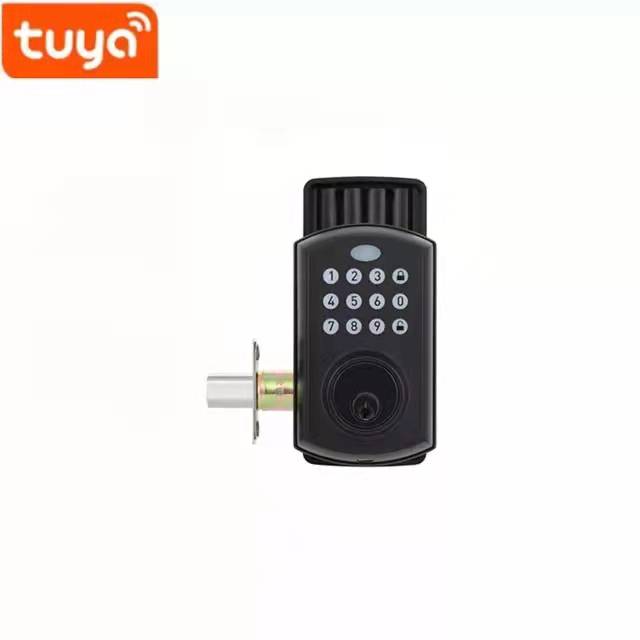 TUYA App Glass Door Smart Lock Aluminum Alloy Household Wooden Door Digital Lock 1