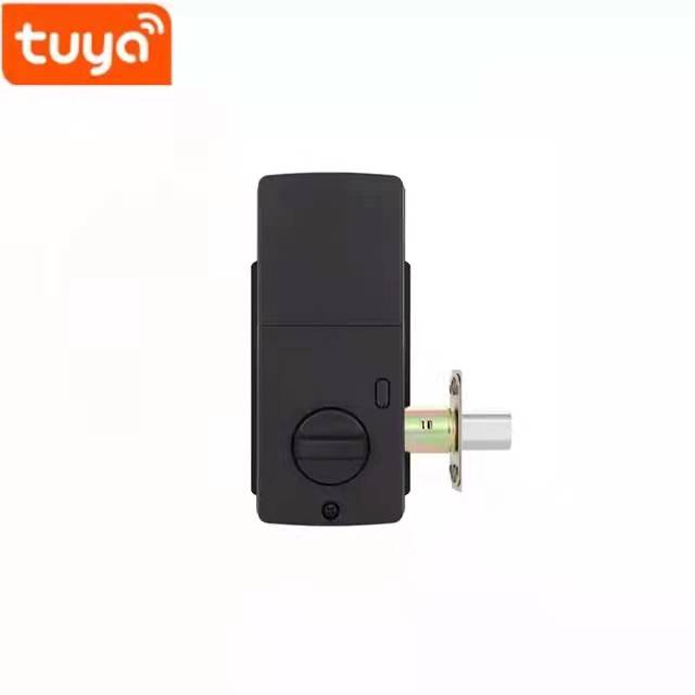 TUYA App Glass Door Smart Lock Aluminum Alloy Household Wooden Door Digital Lock 2