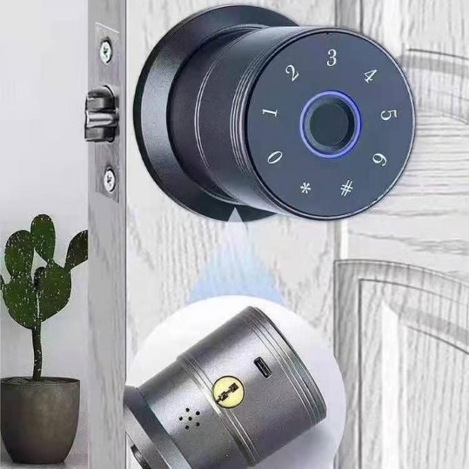 Kantor Tuya APP Smart Lock Aluminium Alloy Bola Kunci Pintu Cerdas 1