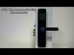 E-591 Remote Unlocking Demonstration