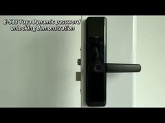 E-513 Tuya app dynamic password unlocking demonstration